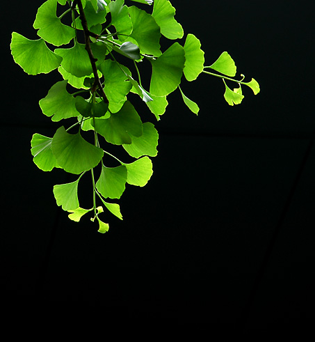 2003721844267124.jpg