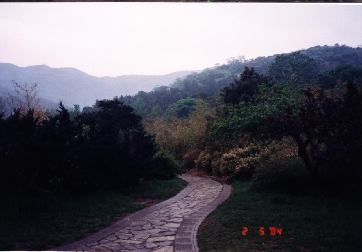 200452613564585067.jpg
