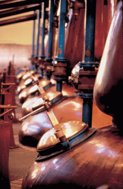 2005-11/200511212341282716.gif