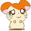 200512220402867235.gif