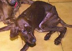 200541318242816709.jpg