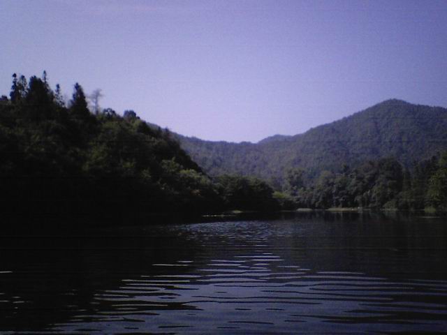 2006-10/200610149493859263.jpg