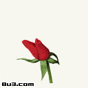 未命名.gif