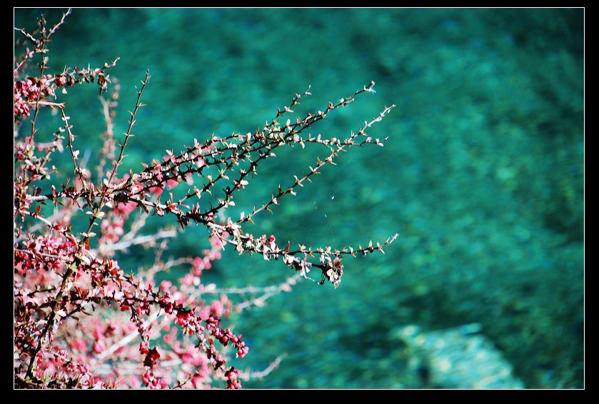 dsc_0662a.jpg