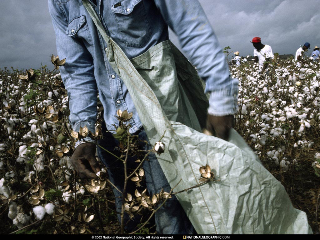 angola, louisiana.jpg