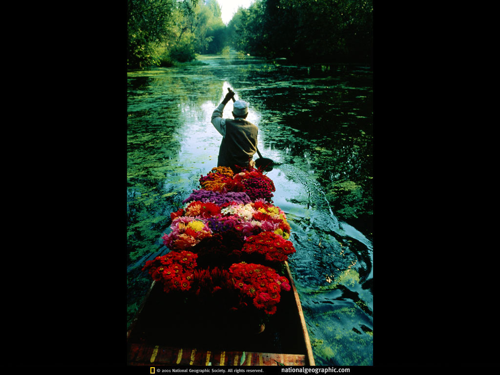 dal lake, india.jpg