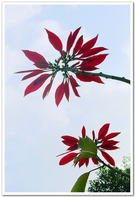 dscn0917.jpg