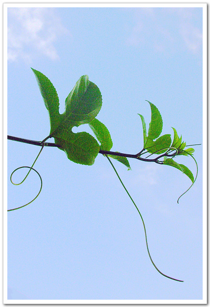 dscn0935.jpg