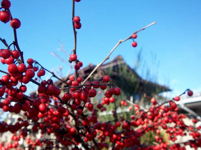 100_7186.jpg