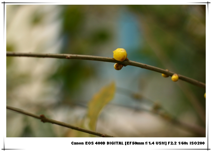 img_3788.jpg