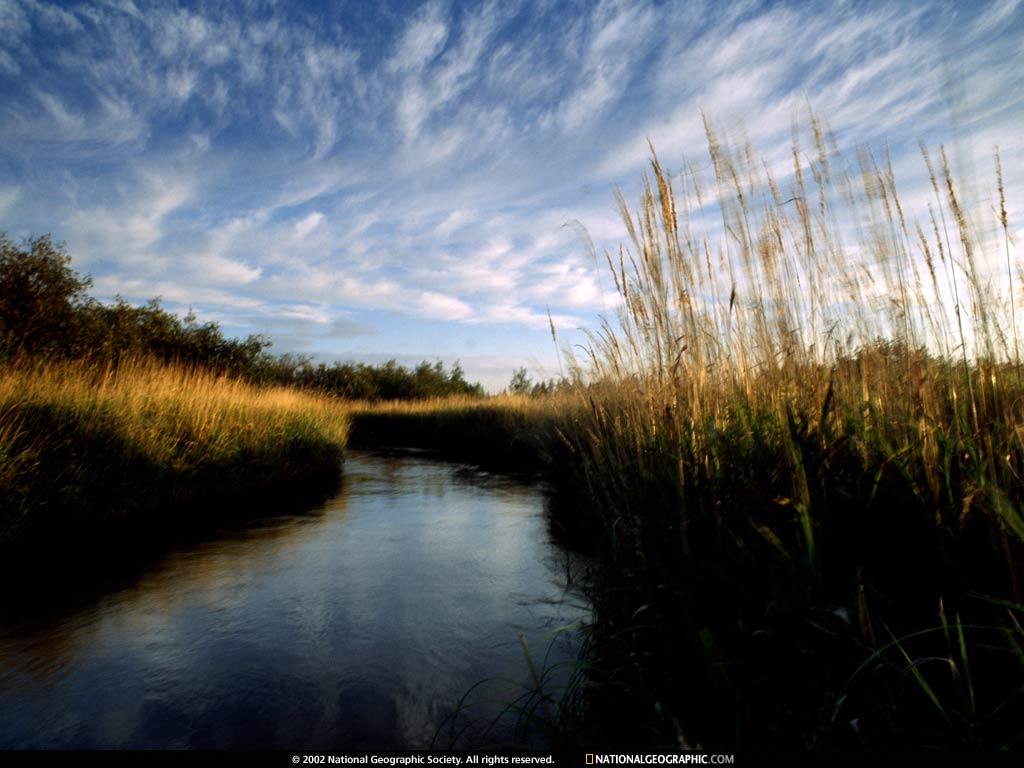 fox river, michigan2.jpg