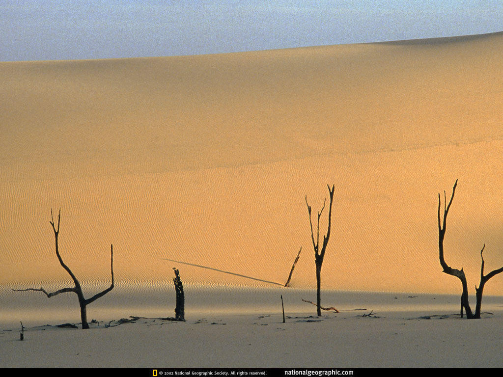 fraser island, queensland, australia.jpg
