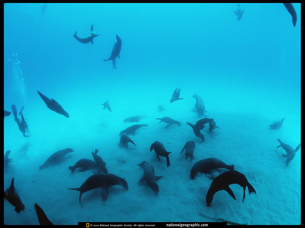 galpagos islands, ecuador.jpg