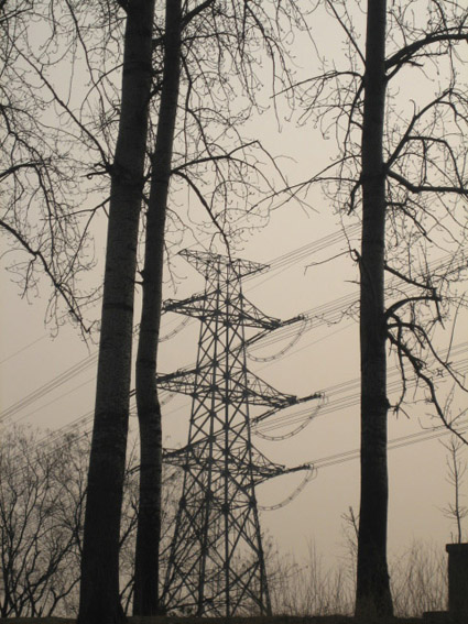 Ƭ2008.1.09 016.jpg