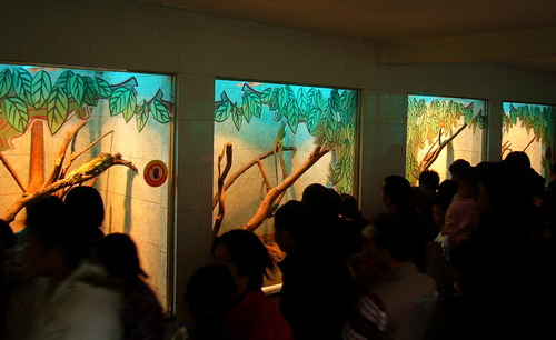 p1100118.jpg
