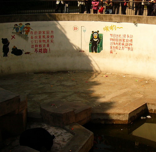 p1100110.jpg