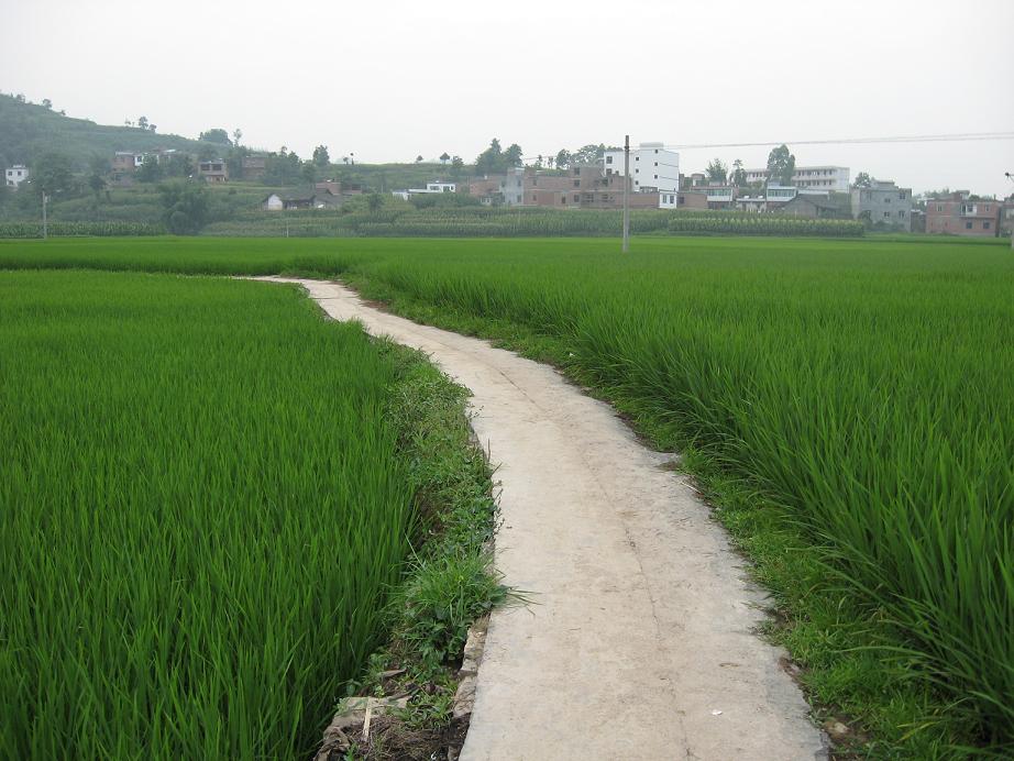 Ƭ 020-13.jpg