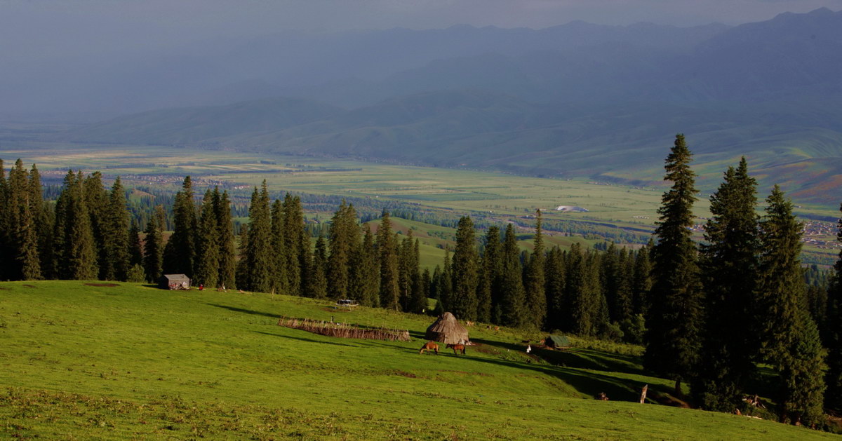 img_1579_СС.jpg