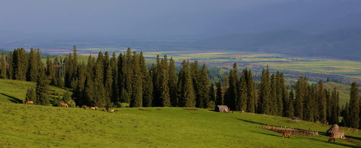 img_1580_СС.jpg