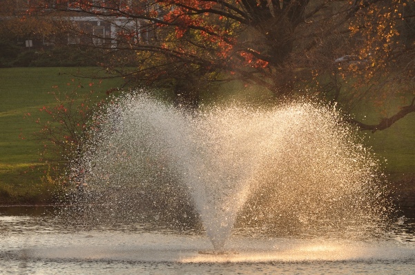 dsc_0965.jpg