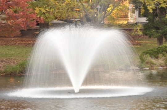 dsc_0878.jpg