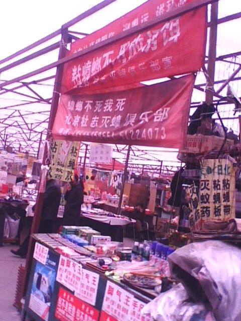 img0275a.jpg