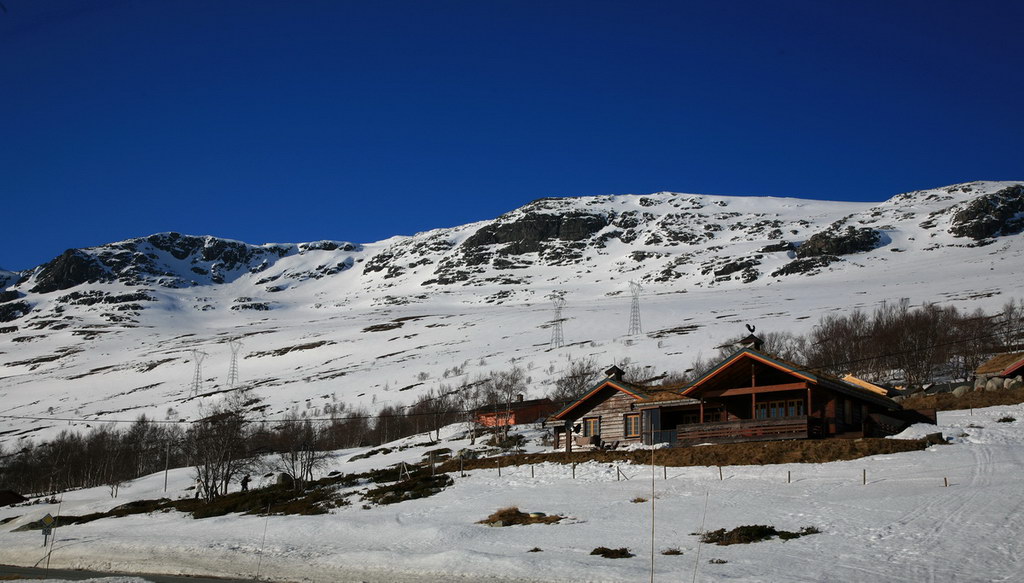 img_6883.jpg