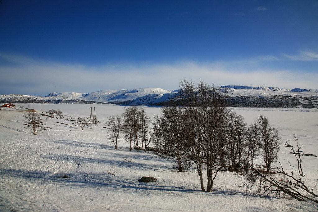 img_6899.jpg