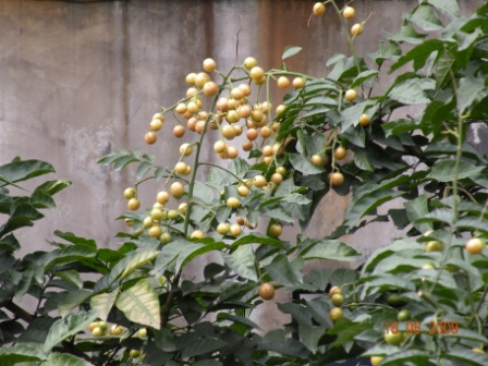 dscn3894.jpg