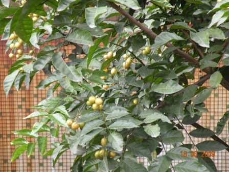 dscn3893.jpg