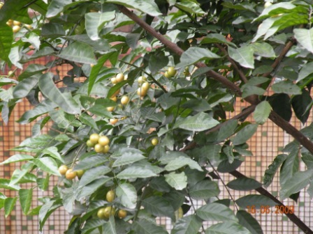 dscn3892.jpg
