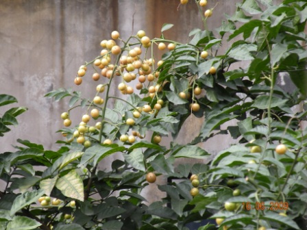 dscn3895.jpg