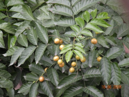 dscn3891.jpg