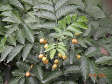dscn3890.jpg