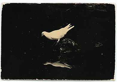 p_large_8b4t_6888000e11f05c44.jpg