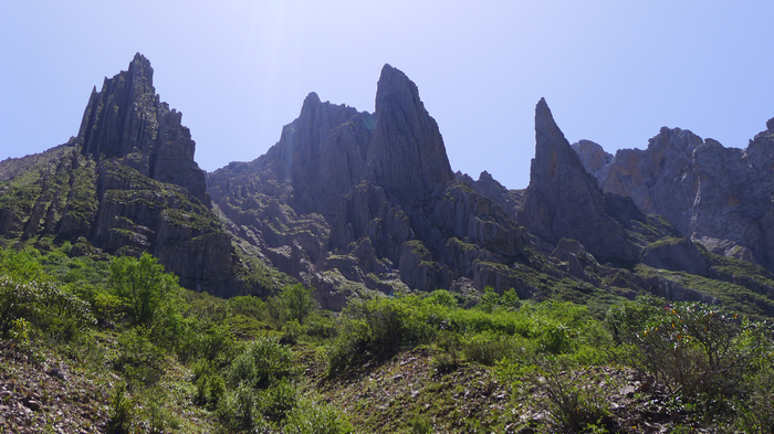 L1000685.jpg