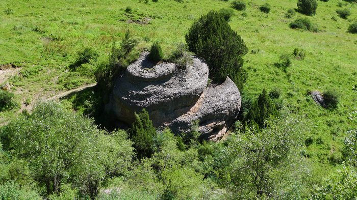 L1000836.jpg