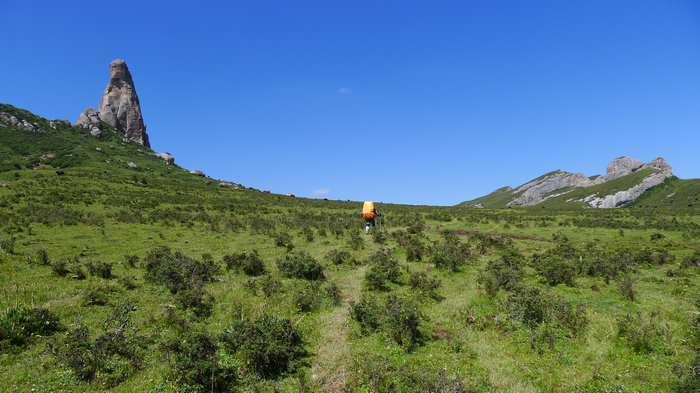 L1000866.jpg
