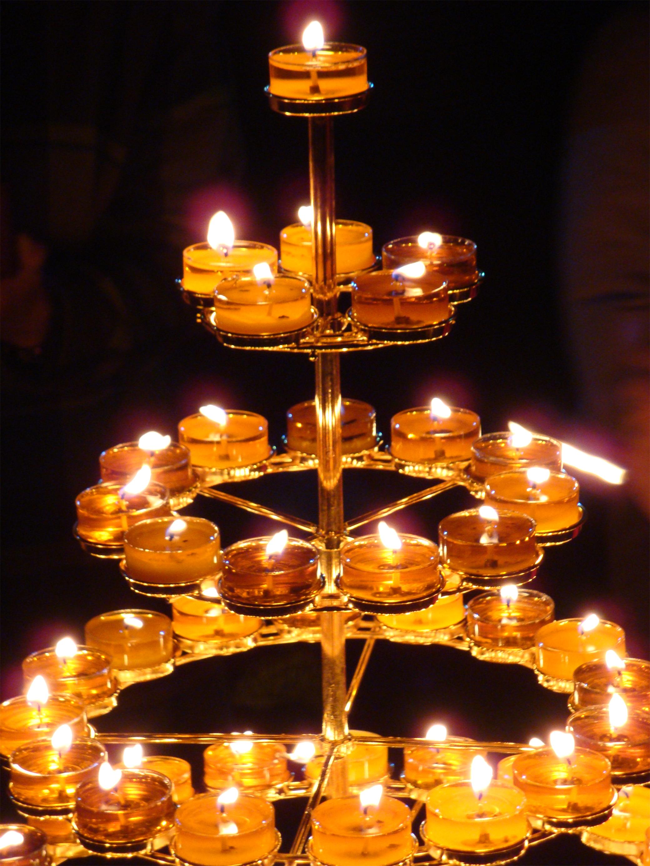 DSC01544.JPG