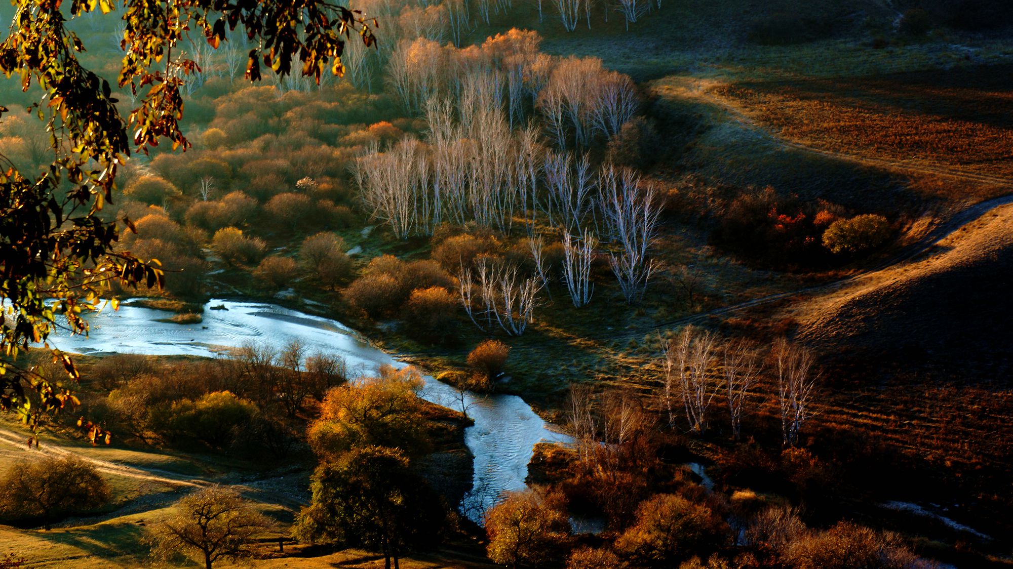DSC06167__.jpg
