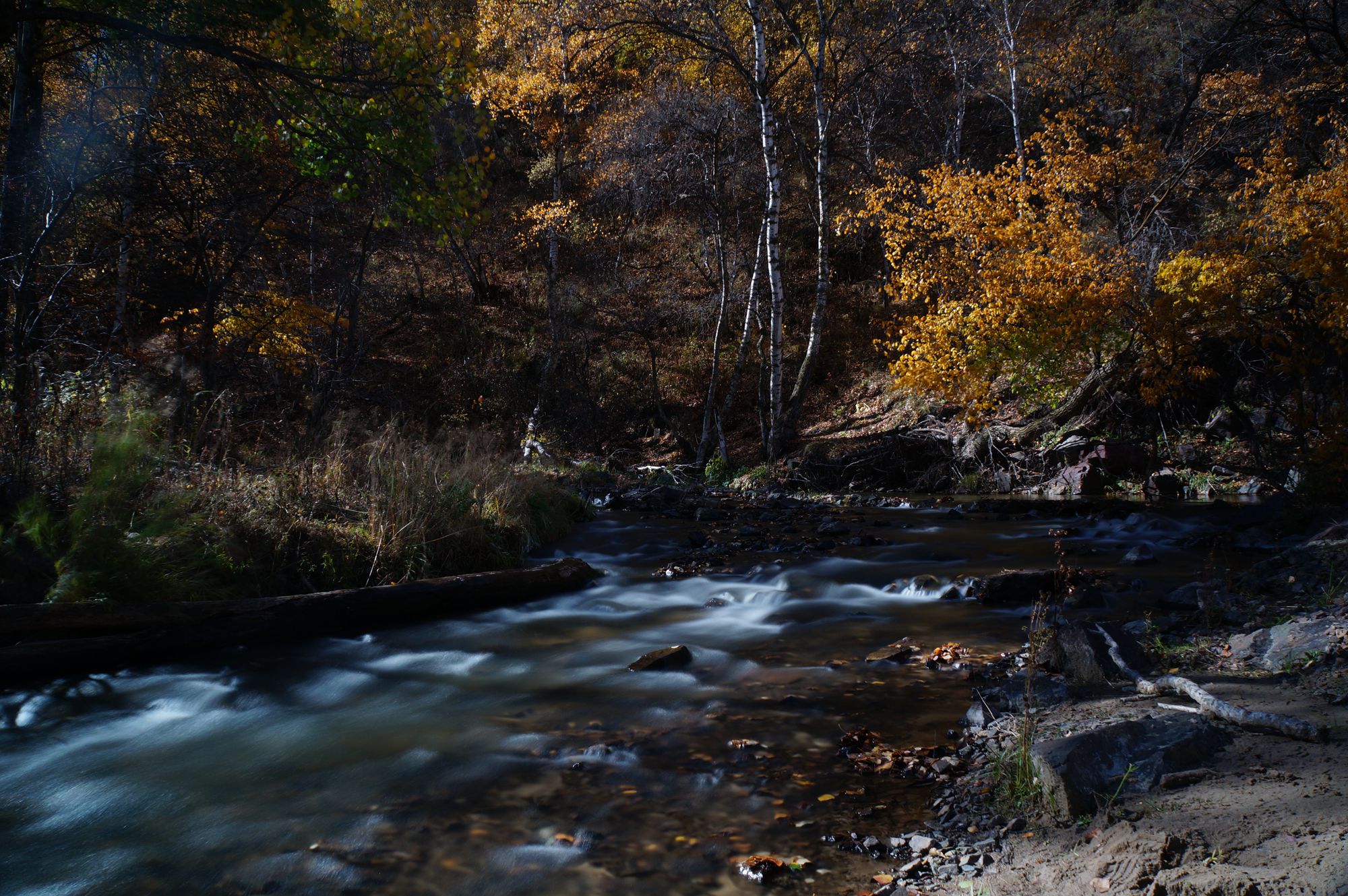 DSC04096_.jpg