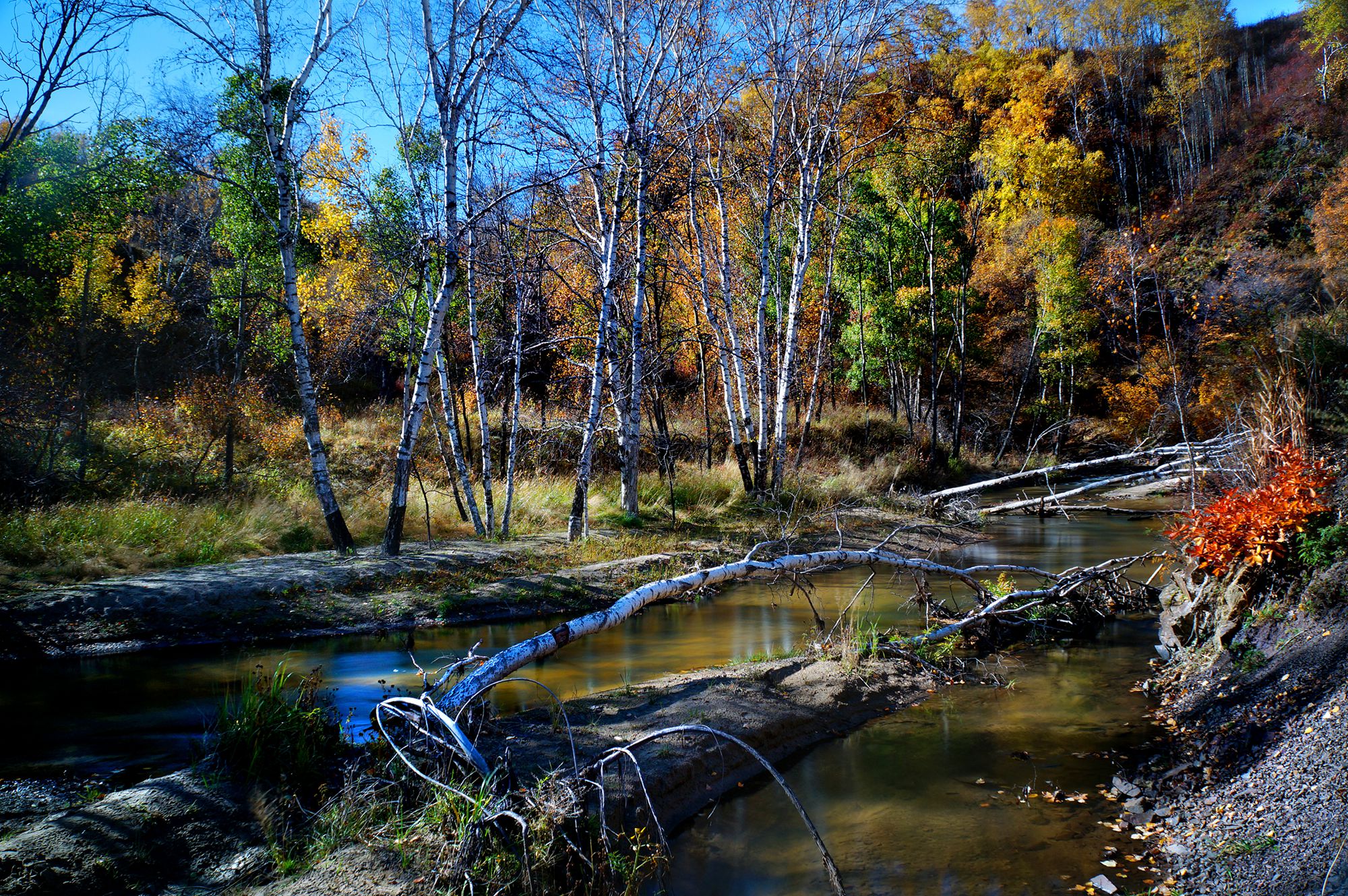 DSC04091__.jpg
