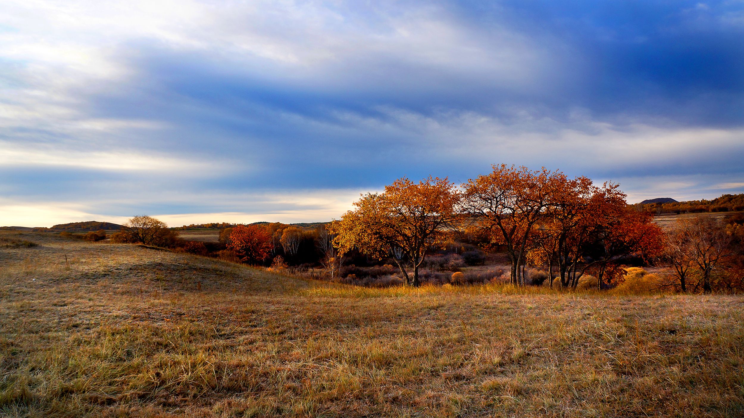 DSC04033_.jpg