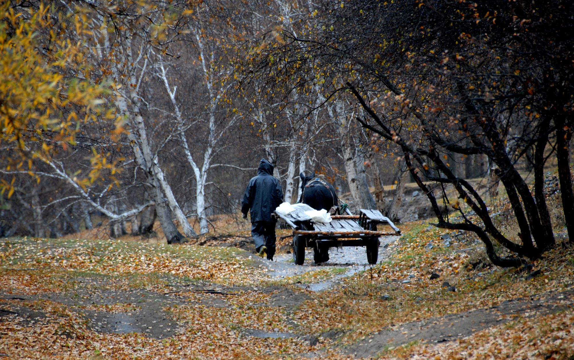 DSC_0187_.jpg