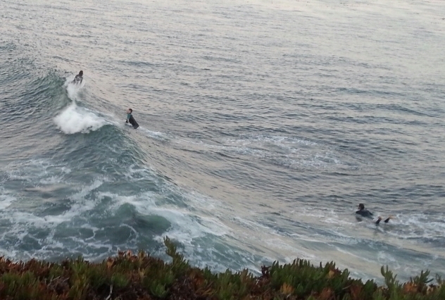 20140819_105224-1.jpg