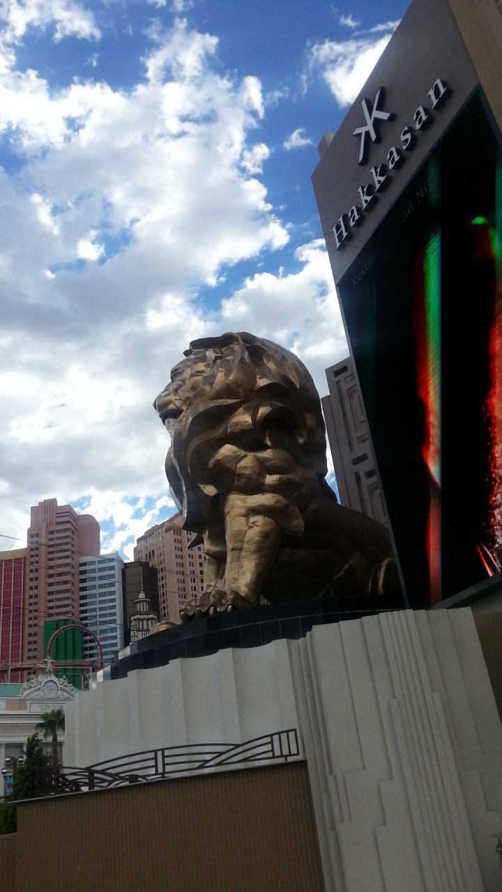 20140821_075448.jpg