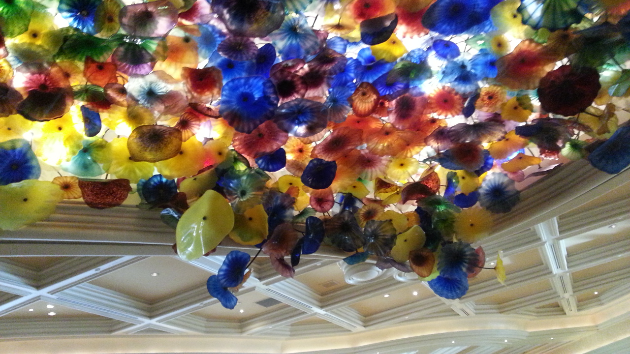 20140822_084050.jpg