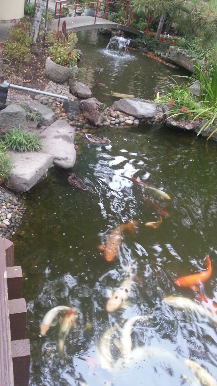 20140817_225213.jpg