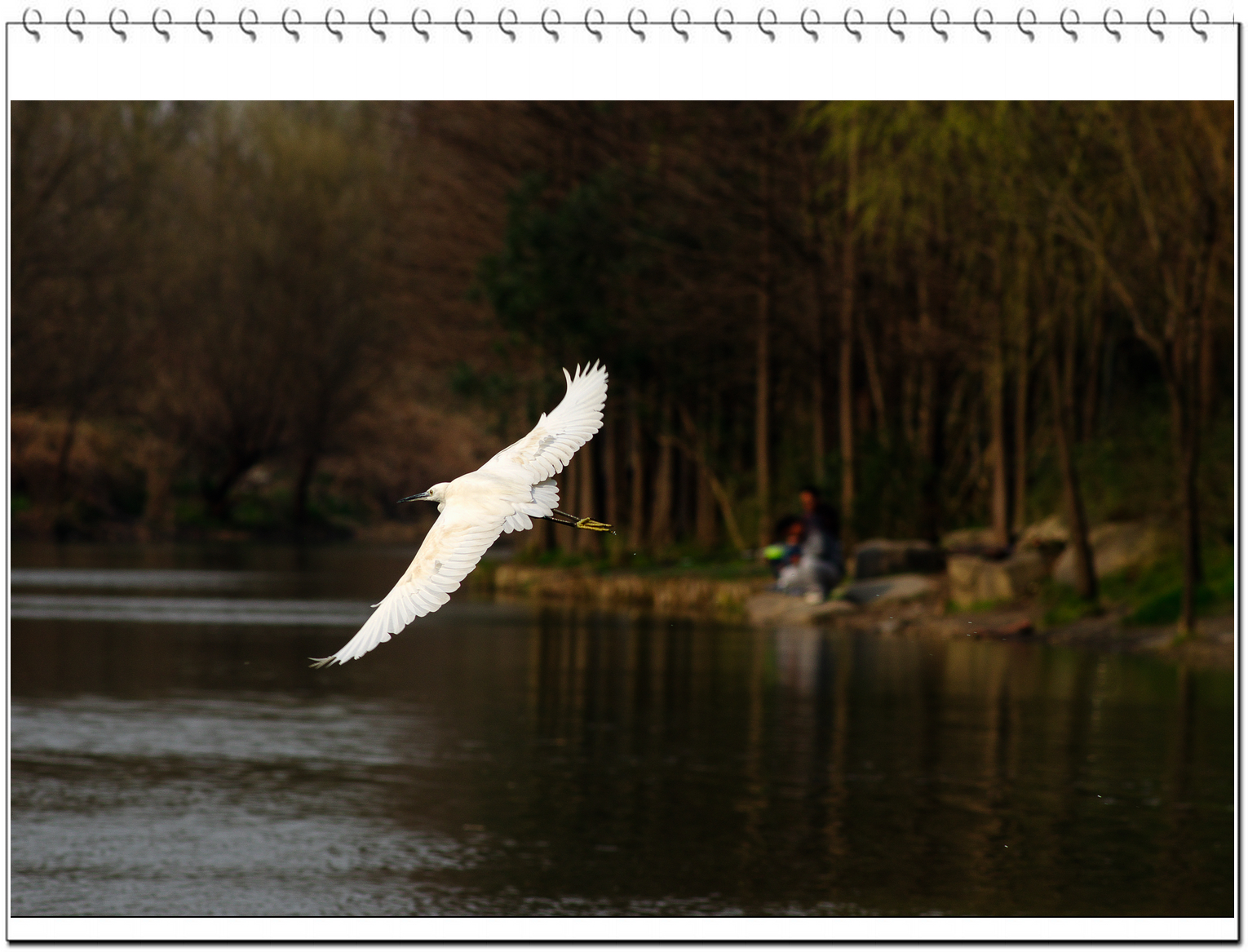 _IGP8584-1.jpg